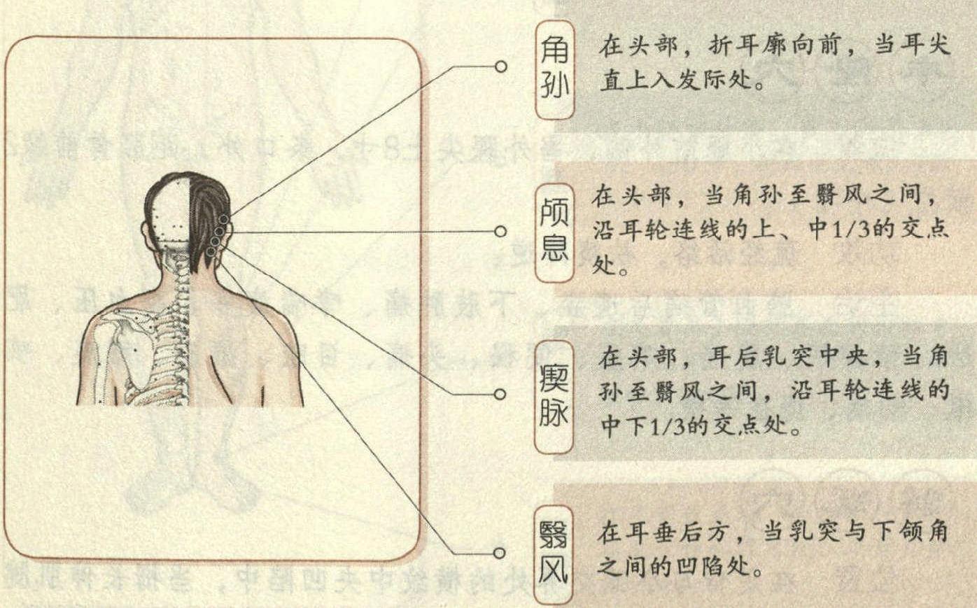 手少陽三焦經(jīng)16大要穴
